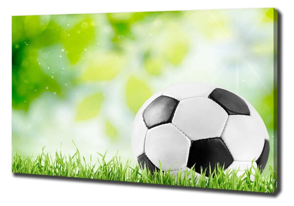 Vászonfotó Futball