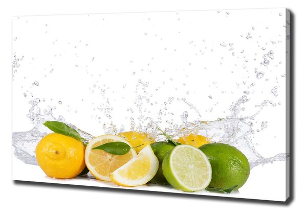 Feszített vászonkép Citrusfélék és a víz