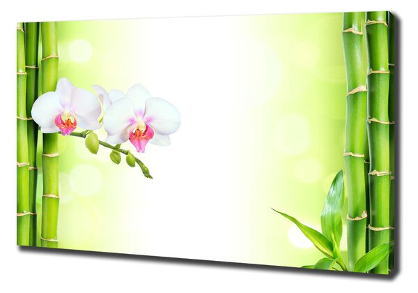 Egyedi vászonkép Orchidea és bambusz