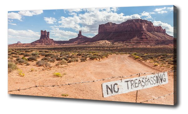 Vászon nyomtatás Arizona usa
