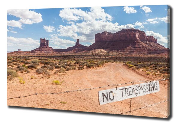 Vászon nyomtatás Arizona usa