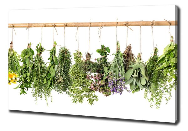 Feszített vászonkép Herbs egy húr