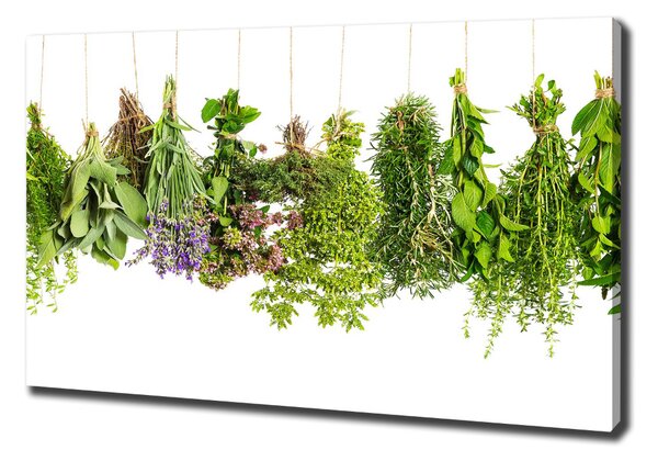 Feszített vászonkép Herbs egy húr