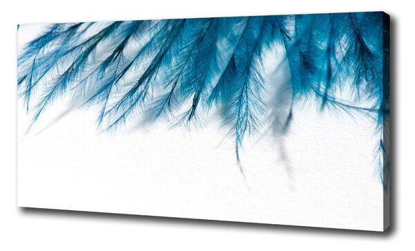 Vászonkép nyomtatás Kék tollak