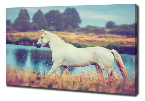 Vászonkép White horse-tó