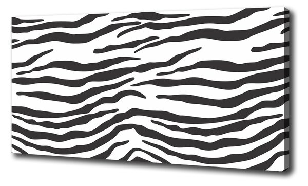 Fénykép vászon Zebra háttér