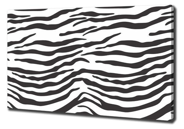 Fénykép vászon Zebra háttér