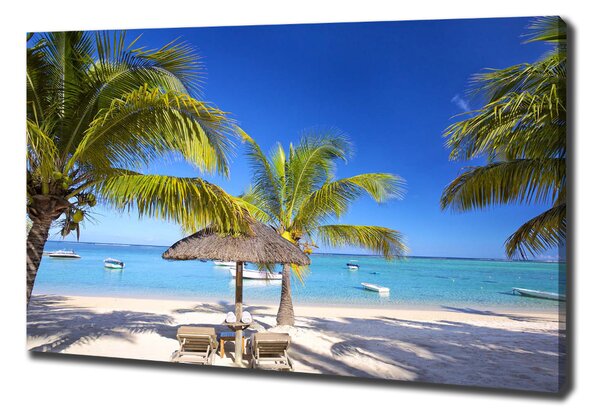 Vászon nyomtatás Beach mauritius