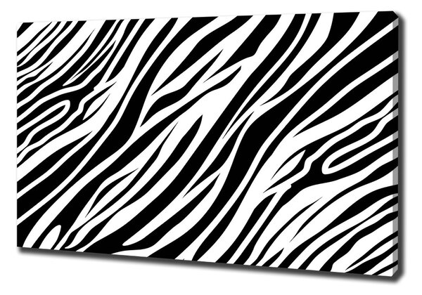 Vászonkép nyomtatás Zebra háttér