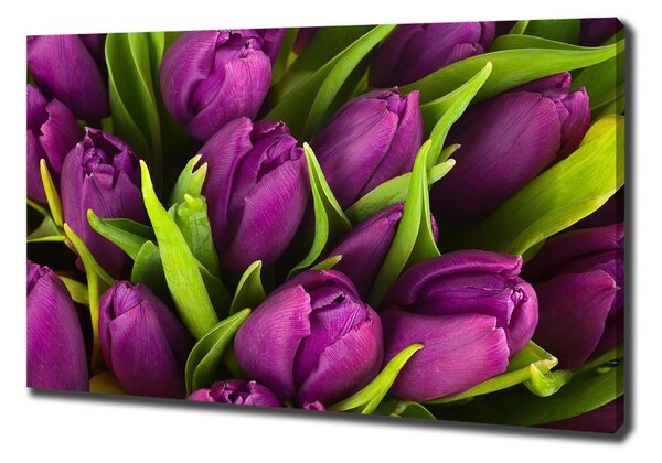 Egyedi vászonkép Lila tulipánok