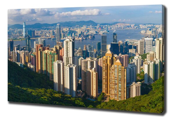 Vászonfotó Hong kong panoráma