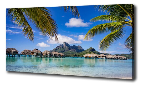Vászon nyomtatás Pálmafák bora bora