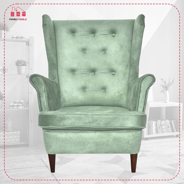 Diana Scandinavian Family Meble Wingback fotel, grafit sötétszürke