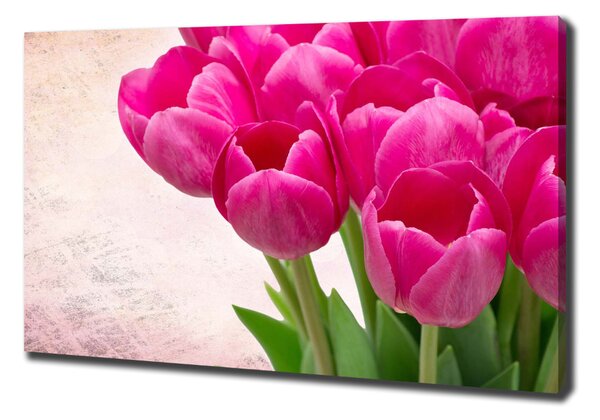 Egyedi vászonkép Rózsaszín tulipánok