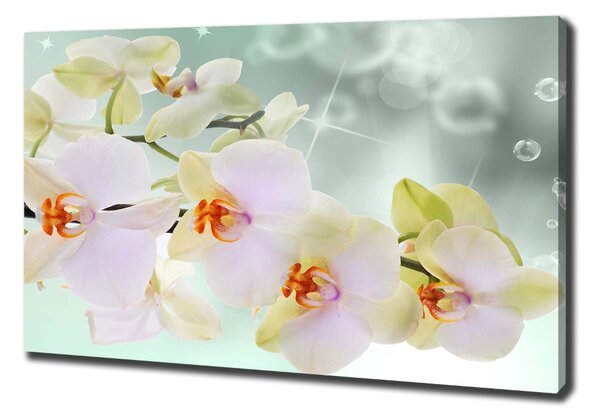 Egyedi vászonkép Fehér orchidea