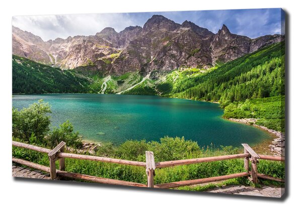 Vászon nyomtatás Marine szem tatry