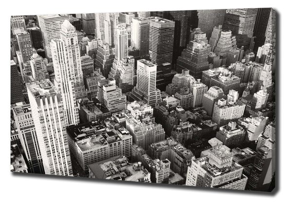 Vászonfotó New york-i járat madár