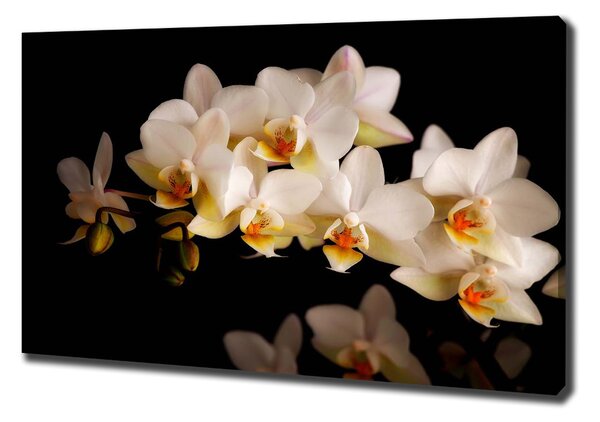 Egyedi vászonkép Orchidea