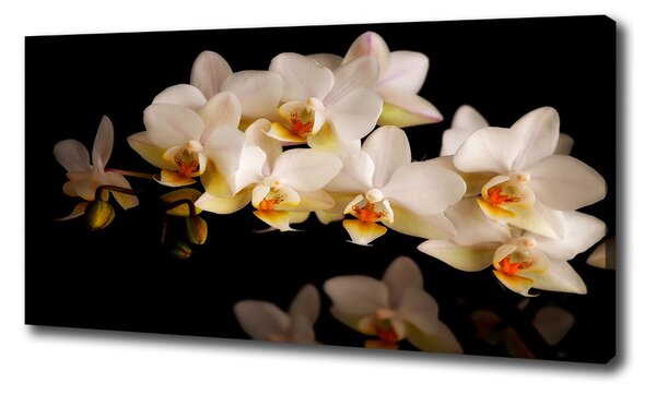Egyedi vászonkép Orchidea