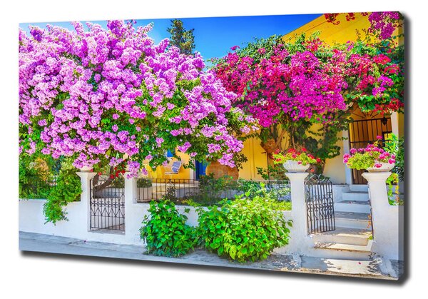 Egyedi vászonkép Ház bougainvillea