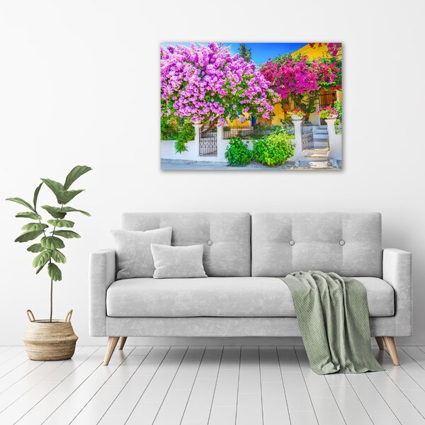 Egyedi vászonkép Ház bougainvillea