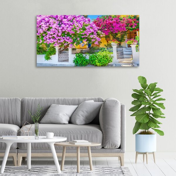 Egyedi vászonkép Ház bougainvillea