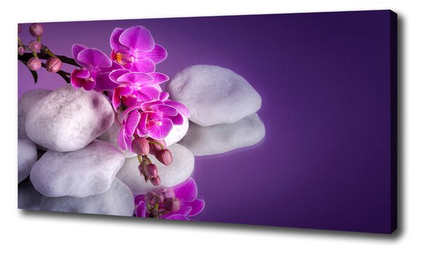 Egyedi vászonkép Orchidea