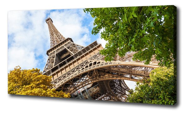 Vászonfotó Párizsi eiffel-torony