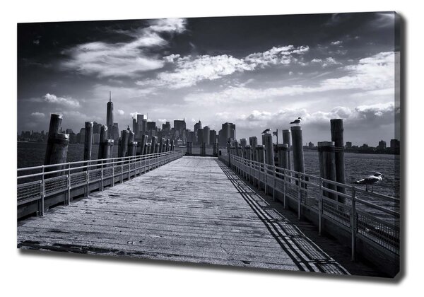 Vászonfotó New york panoráma