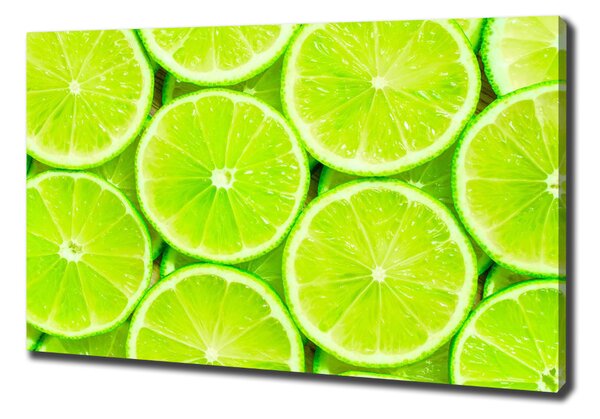 Feszített vászonkép Limes