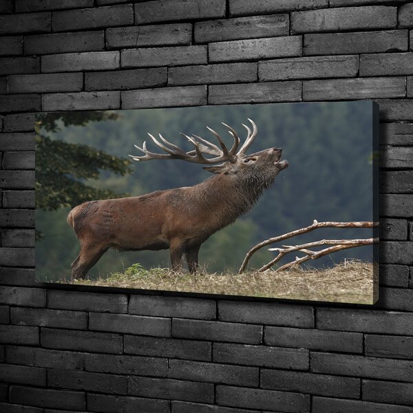 Vászonkép Deer a hegyen