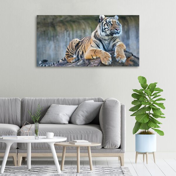 Vászonkép Tigris
