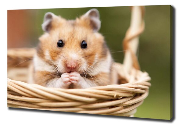 Vászonkép Hamster a kosárban