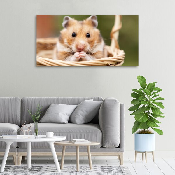 Vászonkép Hamster a kosárban