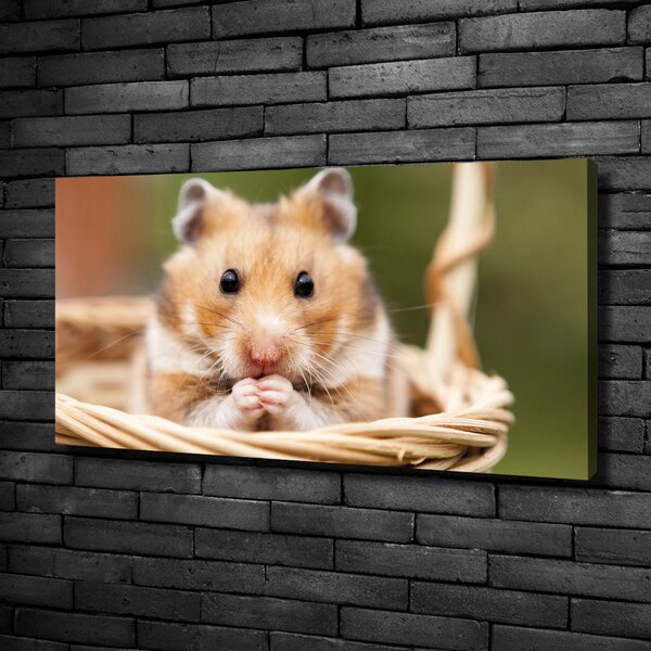 Vászonkép Hamster a kosárban