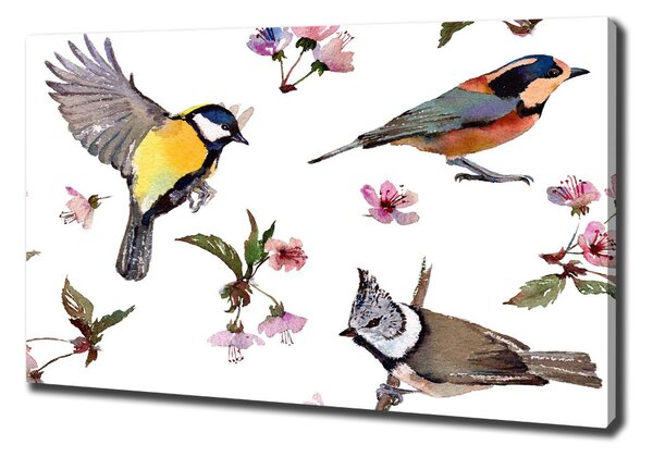 Vászonkép Bird cseresznye virágok
