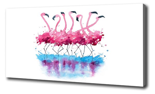 Vászonkép nyomtatás Flamingók
