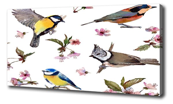 Vászonkép Bird cseresznye virágok