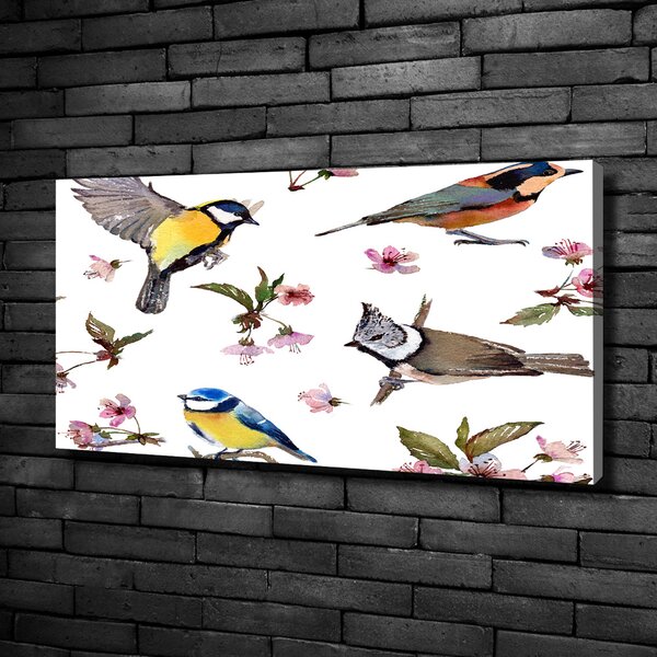 Vászonkép Bird cseresznye virágok