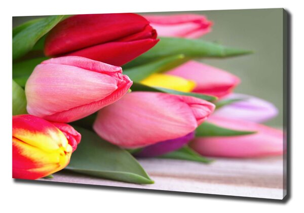 Egyedi vászonkép Színes tulipán