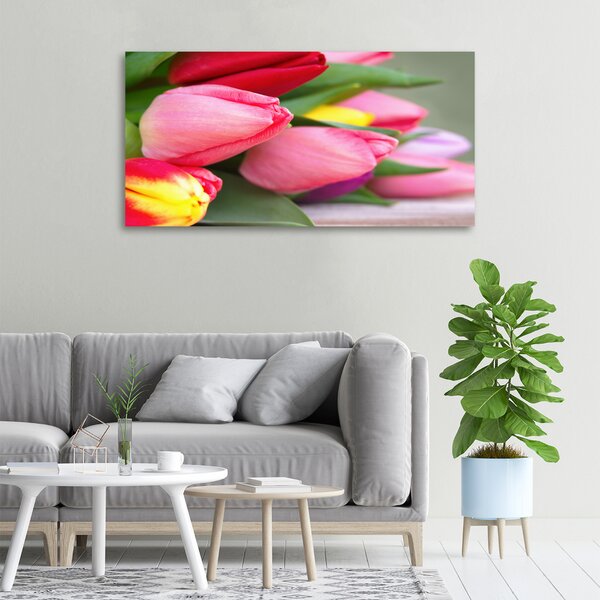 Egyedi vászonkép Színes tulipán