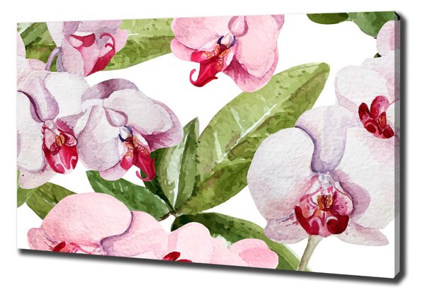 Fali vászonkép Rózsaszín orchideák