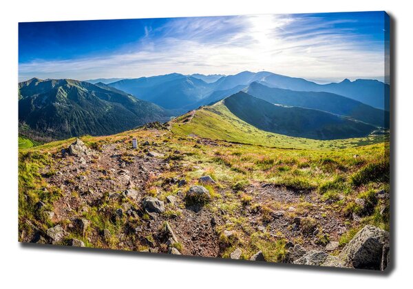 Vászon nyomtatás Panorama hegyi