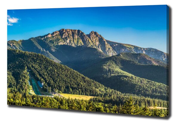 Vászon nyomtatás Panoráma a tátra