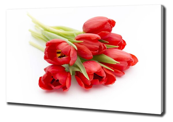 Egyedi vászonkép Piros tulipánok