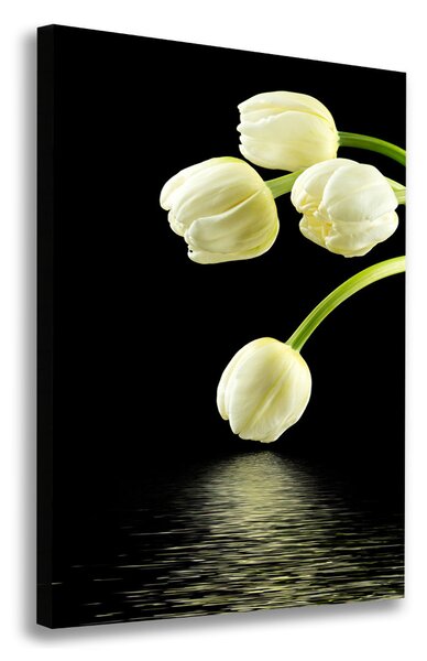 Vászonkép nyomtatás Fehér tulipán