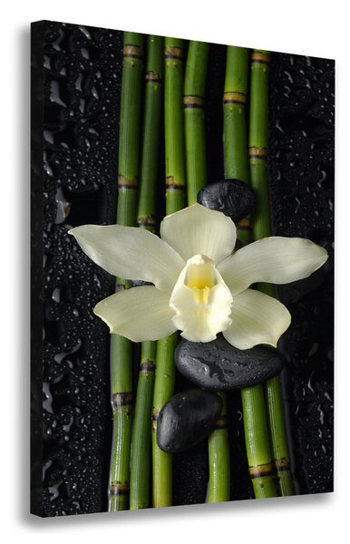 Egyedi vászonkép Orchidea és bambusz