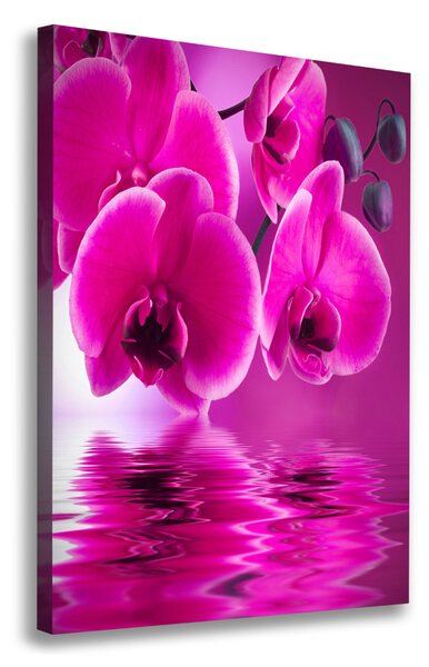 Egyedi vászonkép Rózsaszín orchidea
