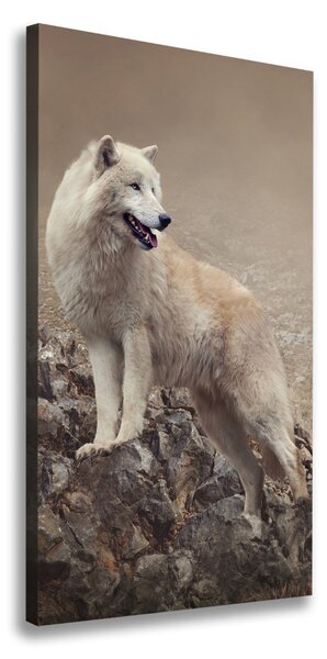 Vászonkép Wolf egy szikla