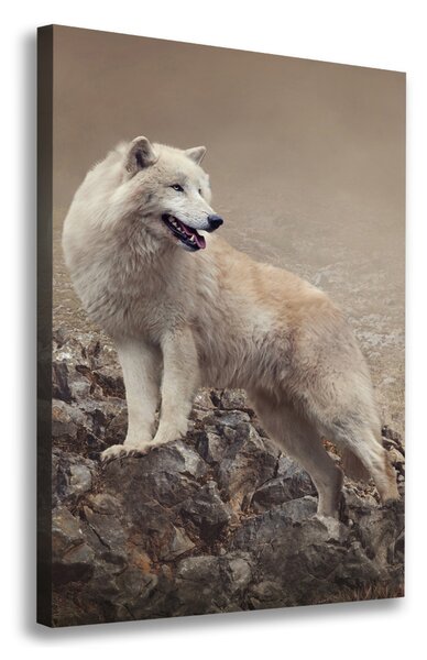 Vászonkép Wolf egy szikla